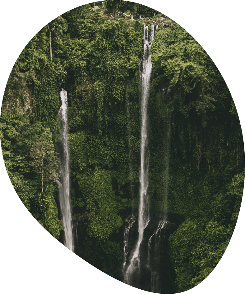 Hoe werkt mijn Mindfulness training Hoe werkt mijn Mindfulness training